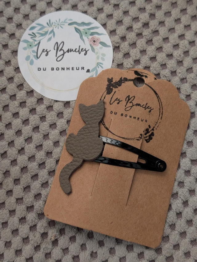 Barrette b035