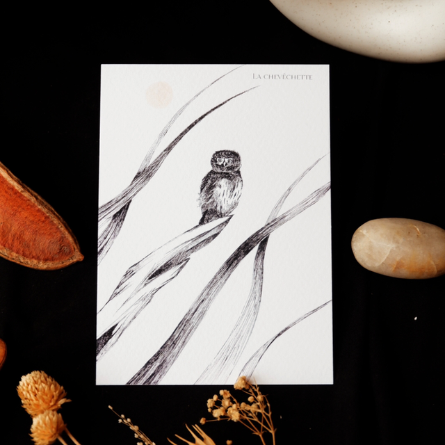 Carte postale A6 "La chevêchette"