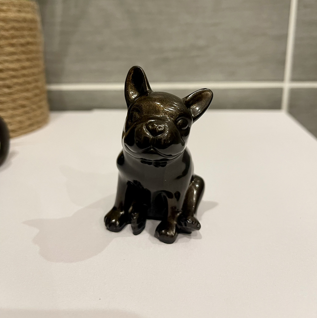 Bouledogue français marron/noir