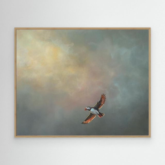 Safe Harbour - (Puffin)