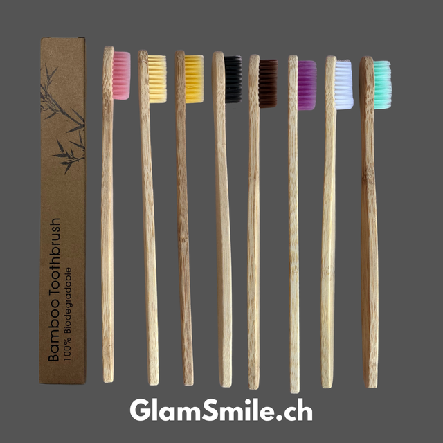 Brosse à dents en bambou (1 pièce)