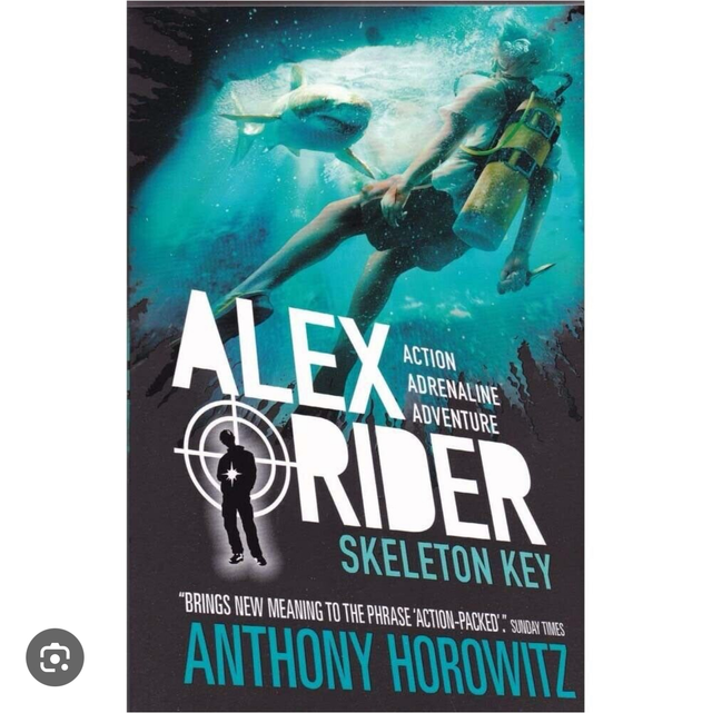 Alex rider scelton key 