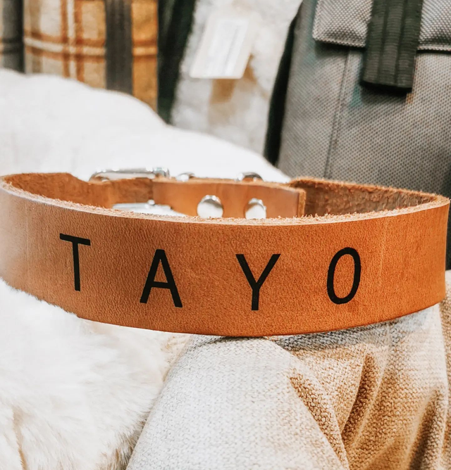 Personalisiertes Halsband Laboni Giro - mokka