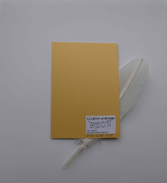 L'orang-outan de Noël