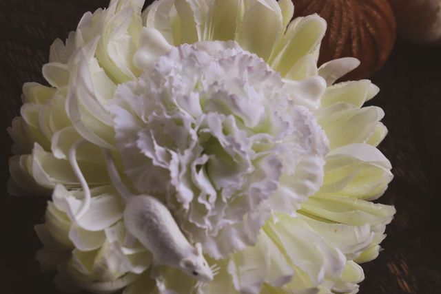 Hairflowers • L • White Plague