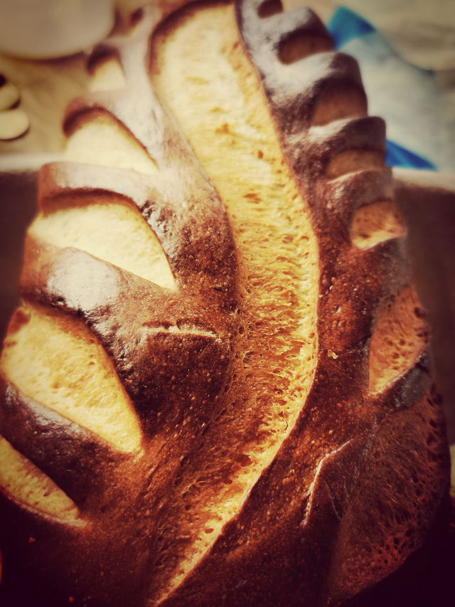 Atelier au rythme du pain au levain - sur la journée / Tarif par personne (de 10 h à 16h)