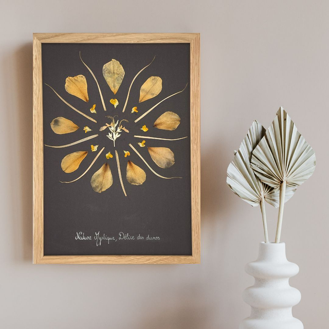 Herbier Délice des dunes