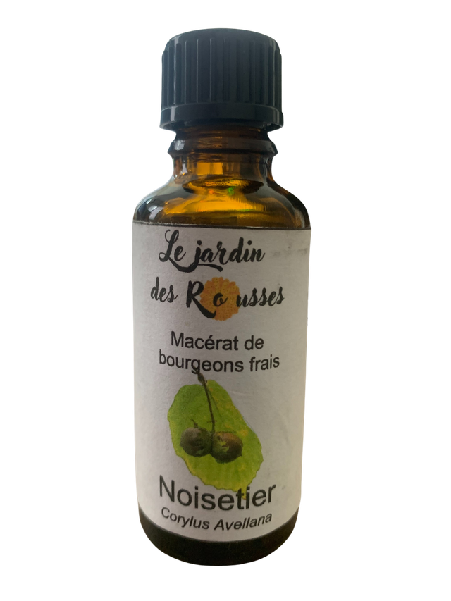 NOISETIER - Macérât glycériné de bourgeons Flacon de 30 ml 