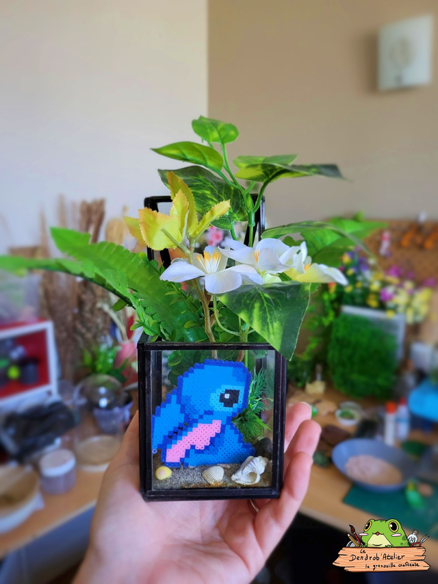 Compagnon sur la plage