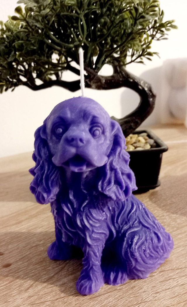 BeaCrea au plaisir d'offrir, les bougies fondantes, vous propose cette magnifique bougie parfumé  Cavalier King Charles  parfums
Prix : 8€