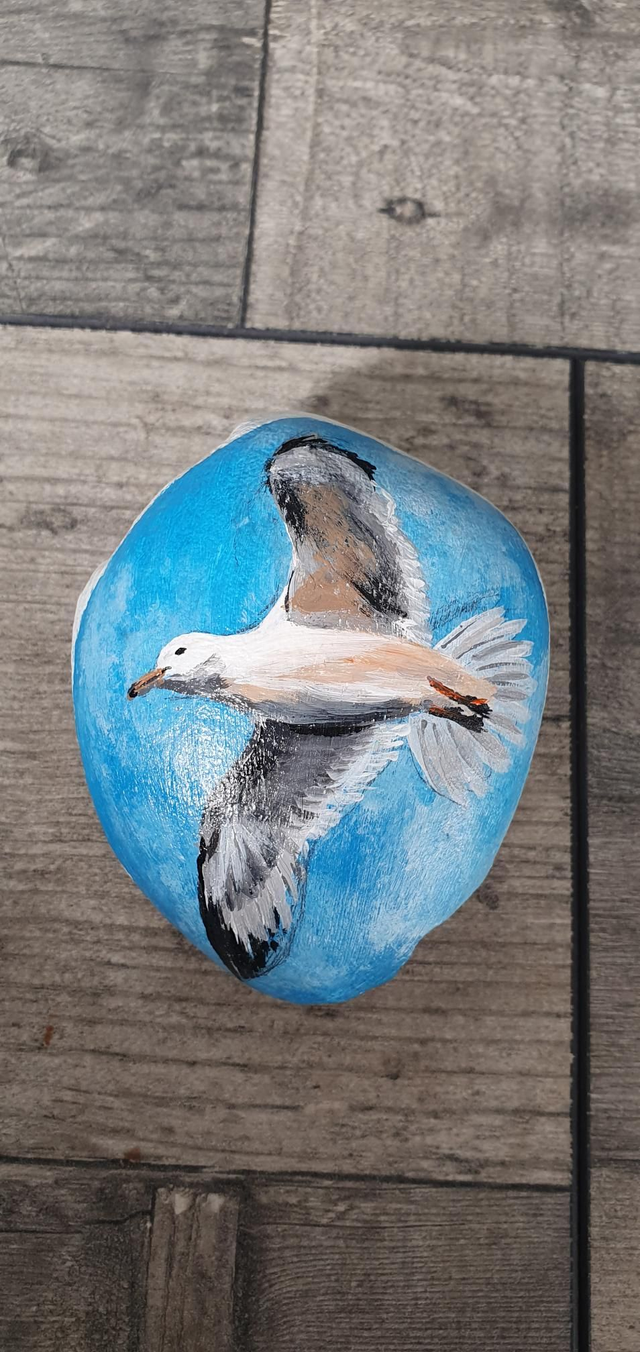 PAPER WEIGHT. Hand Painted Acrylic 'Flying Gull' #1
