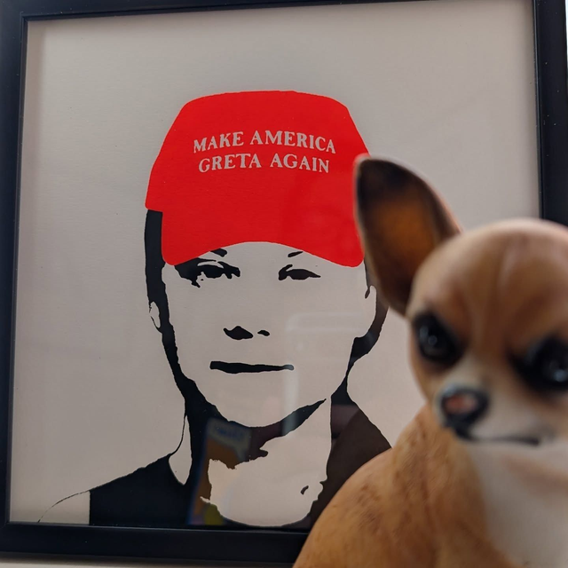 MAKE AMERICA GRETA AGAIN
