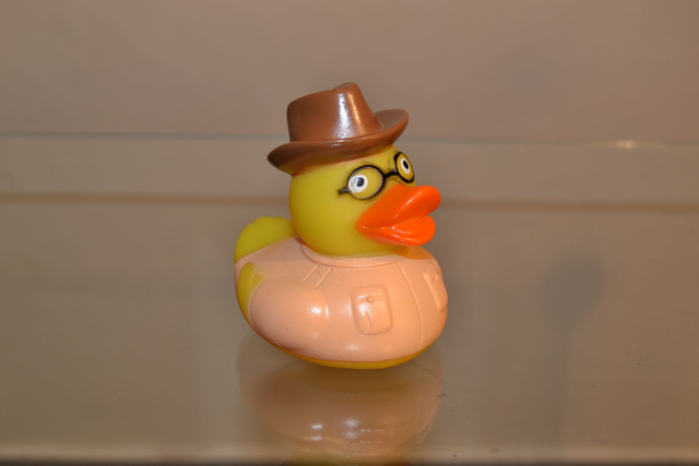 Canard à lunettes et chapeau