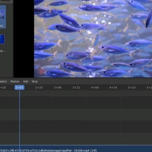 Workshop: Video Edit with Blender