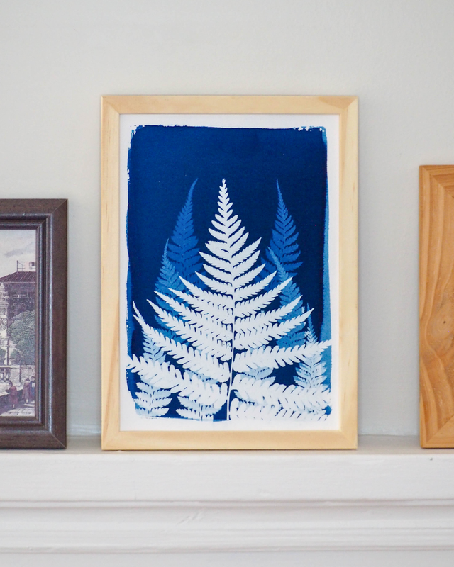 Dégradé de Fougères