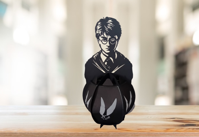 Lanterne HP Harry Potter