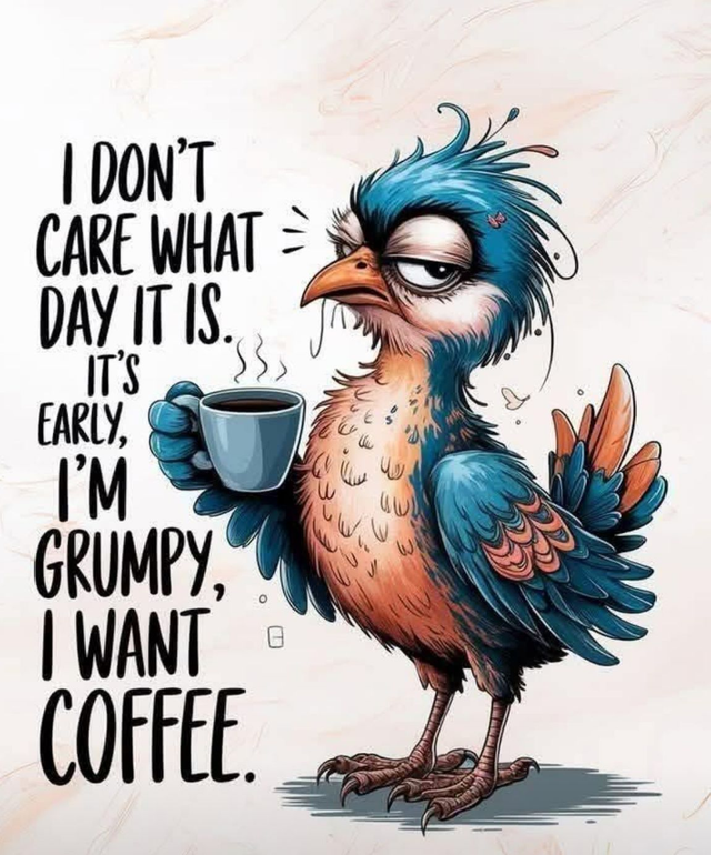 Rectangle fridge magnet humorous design