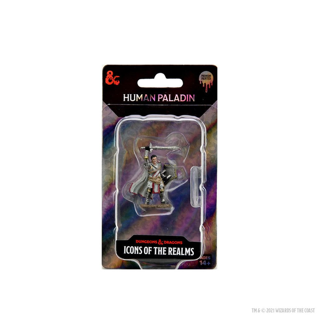 Dungeons &amp; Dragons: Icons of the Realm Human Paladin Miniature