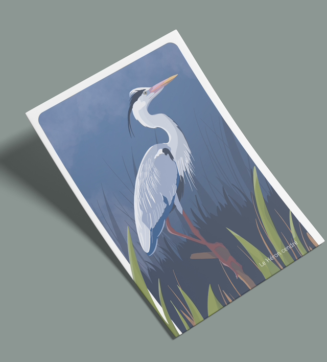 Cartes postales "les zozios" (lot de 4)