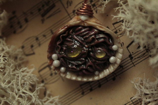 Coquillage Métamorphe- n°8