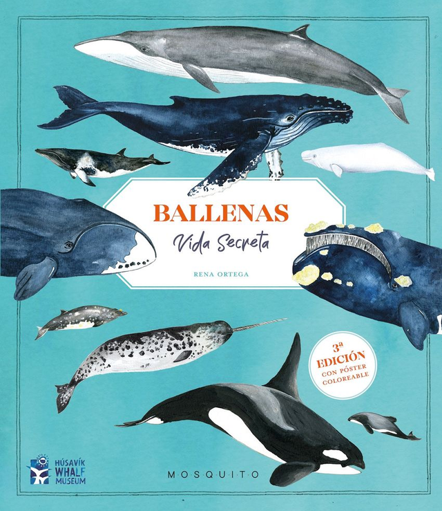 Ballenas: Vida secreta – Rena Ortega