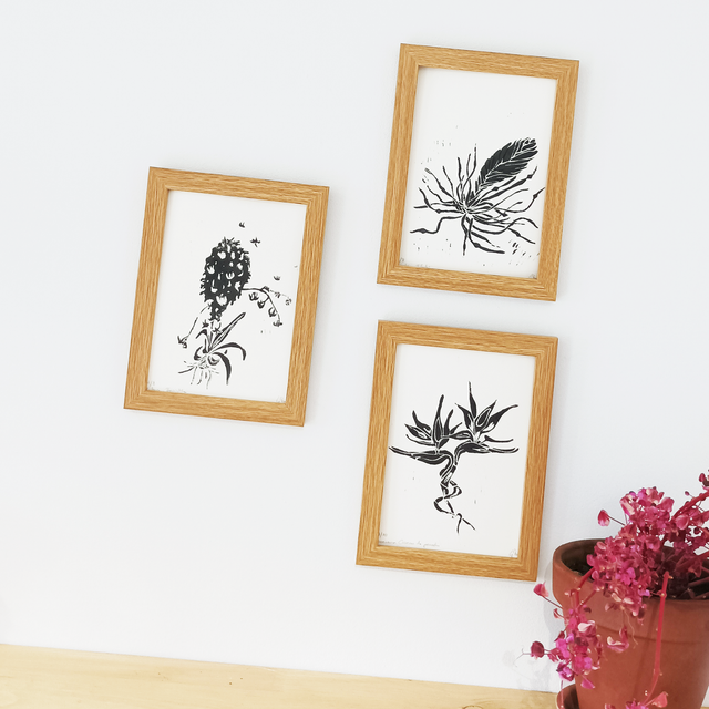 Oiseau de paradis. Gémeaux