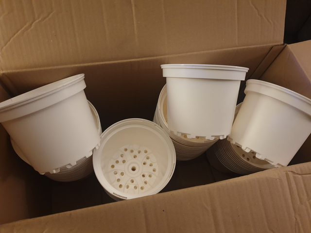 Plant Pots X65 Per Box 2 Litre White Plastic Full Size Flower Pot BRAND NEW!