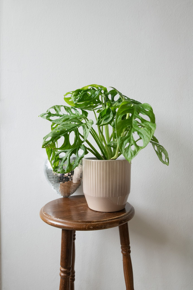 Pot beige 🧩 Mix & Match