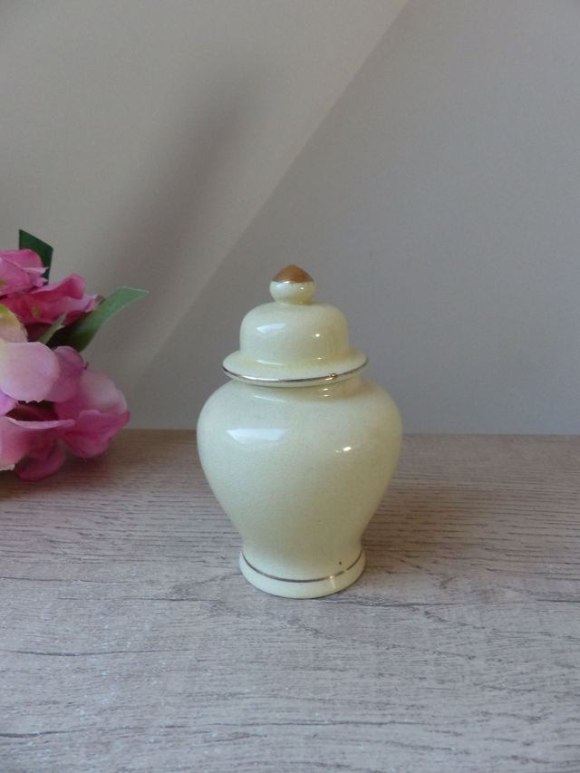 Petit pot à gingembre japonais en porcelaine, pot à gingembre oriental avec couvercle, pot à épices du Japon, ginger jar home decor