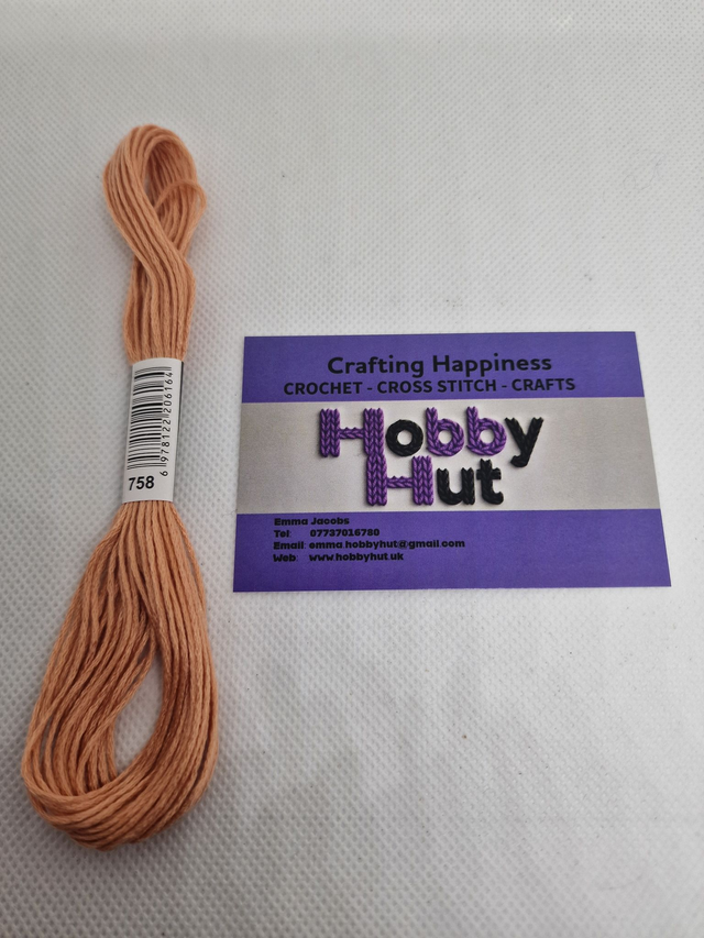 Embroidery Thread - 758