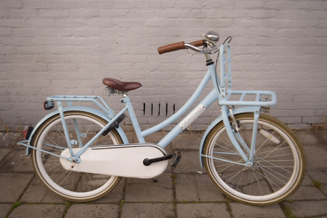 Popal Omafietsje met terugtraprem (22 inch)