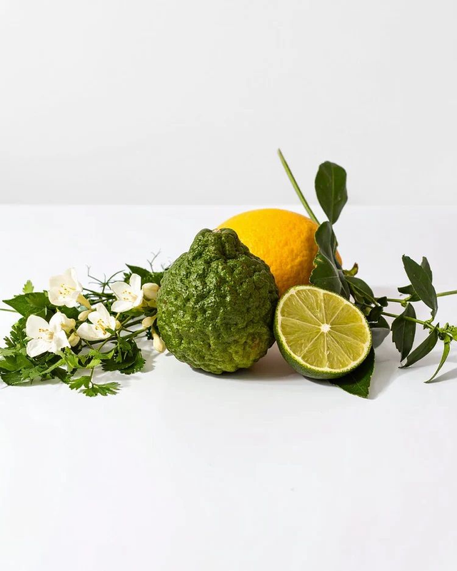 PARFUMS NOX - 116 Évoque Eau sauvage Dior