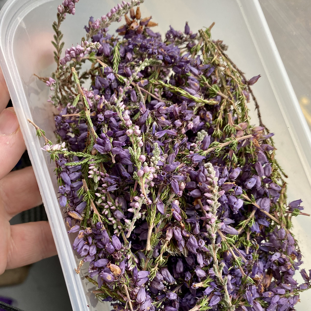 Bonnie Box - Scotland in a letterbox