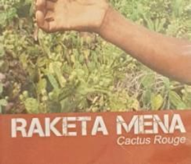 Raketa Mena