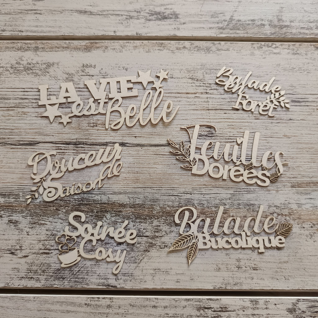 Lot de 6 phrases "Automne" en carton bois Scrapbooking & déco DIY