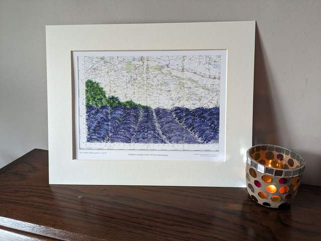 Yorkshire Lavender field print