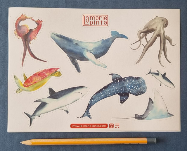 Stickers / auto collants animaux marins