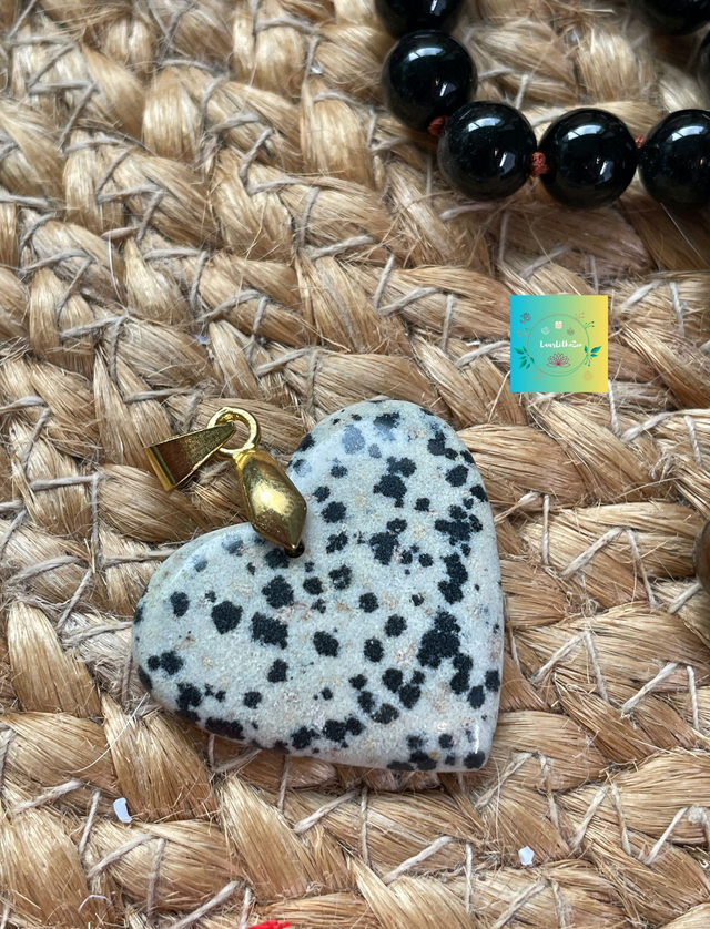 🐾 JASPE DALMATIEN Joli coeur