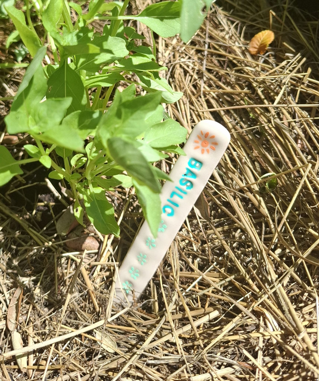 Étiquettes en céramique basilic pour jardin potager