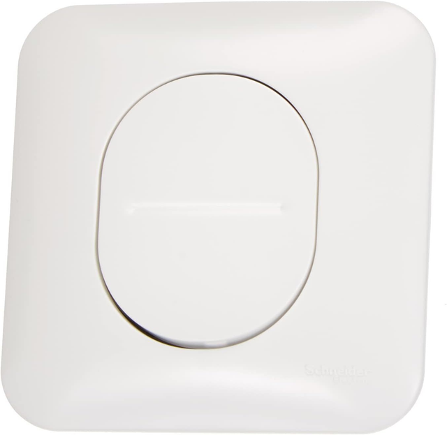 Schneider Electric Schneider Electric S260204 Interrupteur ou va et vient 10 amperes Ovalis complet 250 V