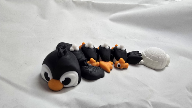 Bébé Dragon pingouin