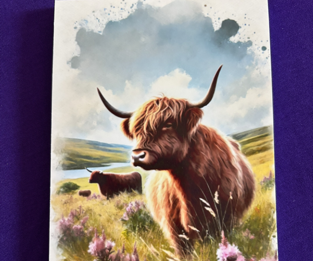 Plain Note Pad Cow two highland