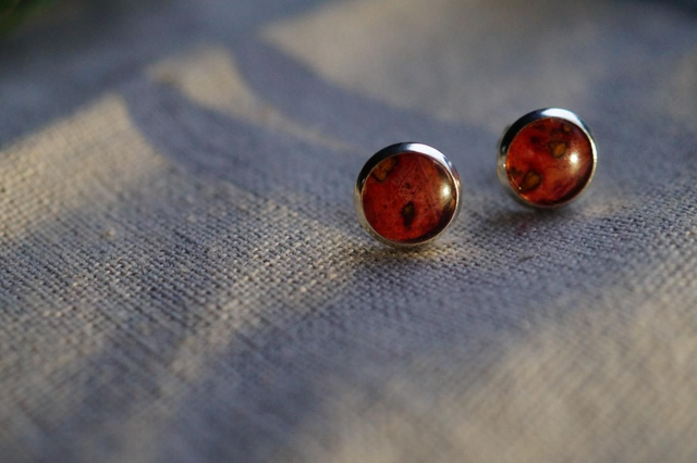 Clous d'oreilles - Arbre à perruques