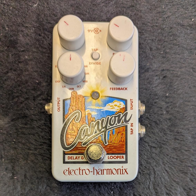 Electro Harmonix Canyon delay &amp; looper