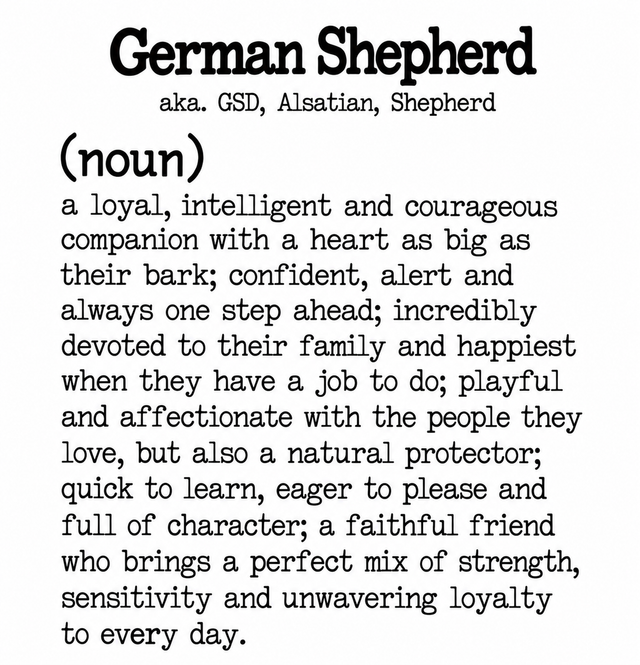 Dog Breed Definition Mug – German Shepherd | Funny Dog Lover Gift