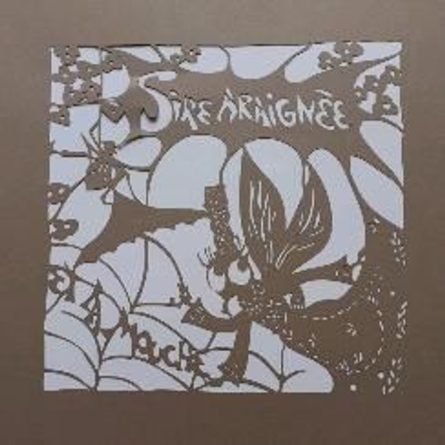 Sire araignée et la mouche