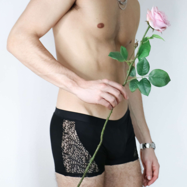 Boxer Apollon - Récif Dentellien