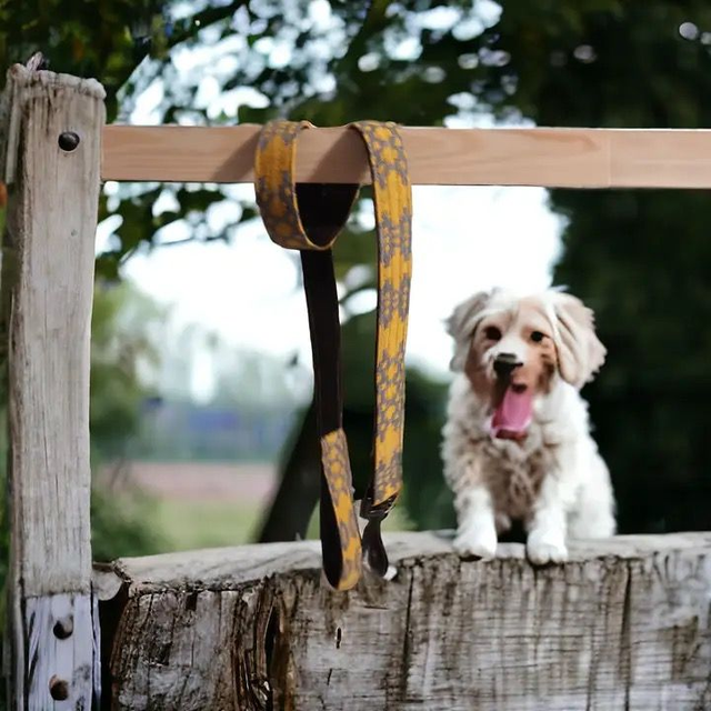 Moose & Co Handmade Dog Lead - Yellow