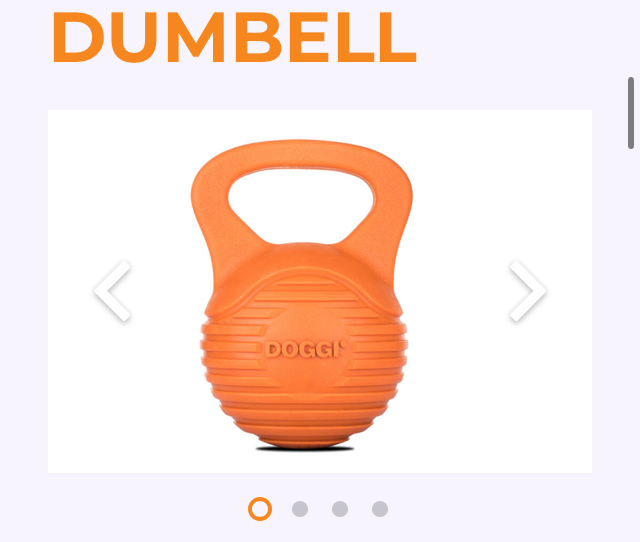 Doggi Catch and Carry Dumbbell Small