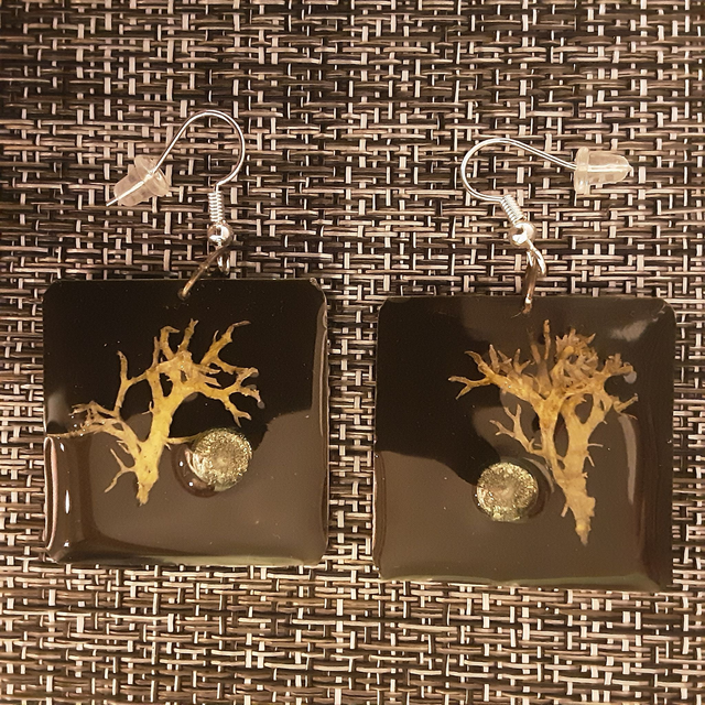 Boucle d’oreille carrée fond brun profond et inclusion algue et cabochon